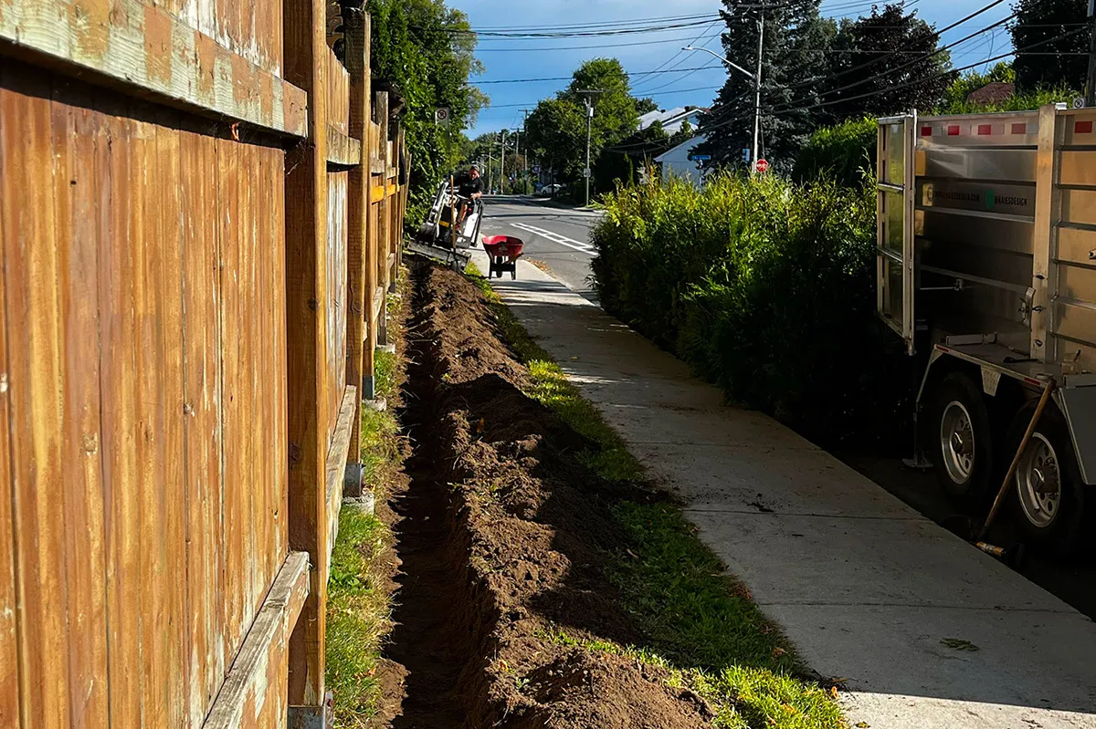 Plantation haie de cèdre Boisbriand