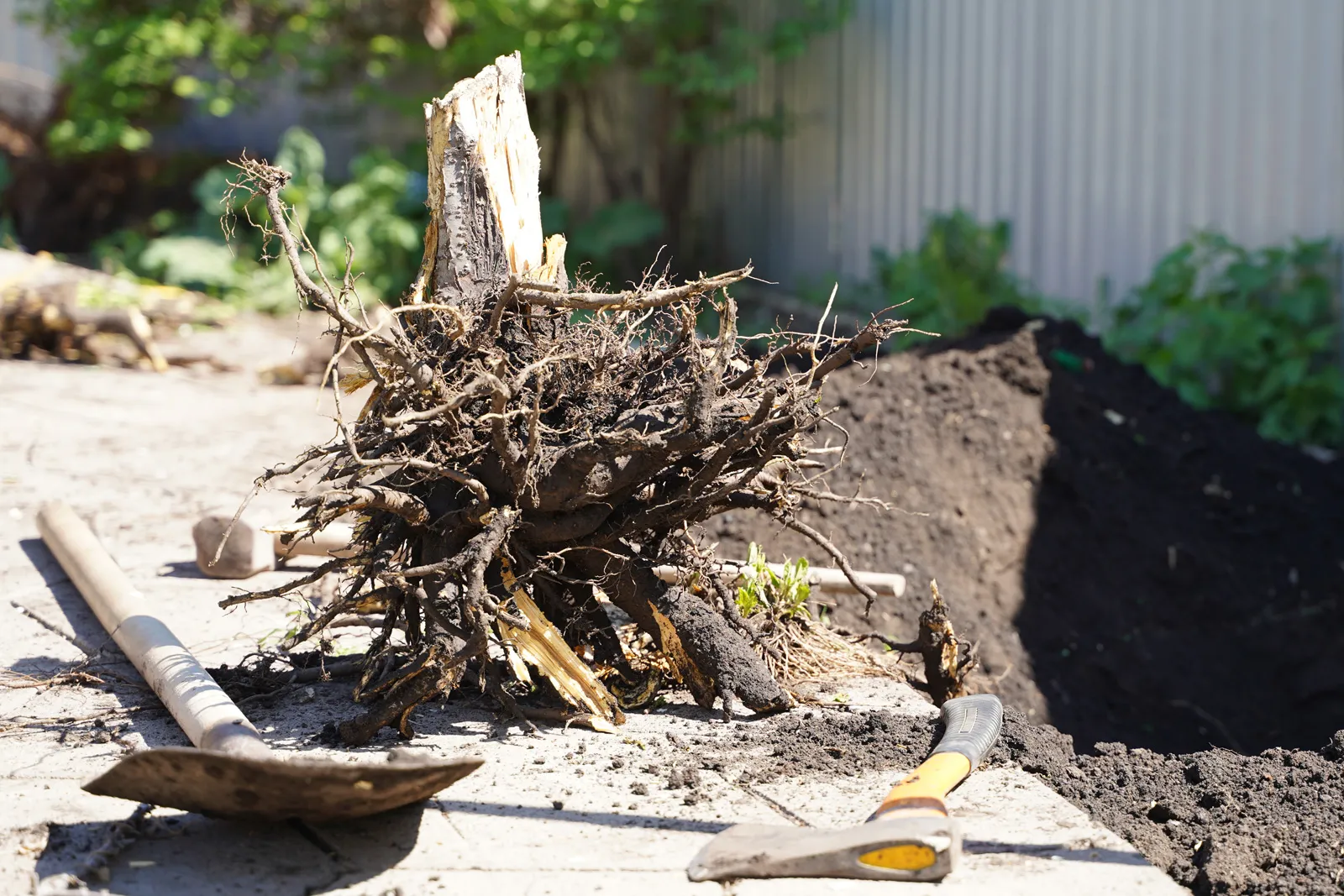 Stump removal Mirabel Saint-Jérôme Blainville