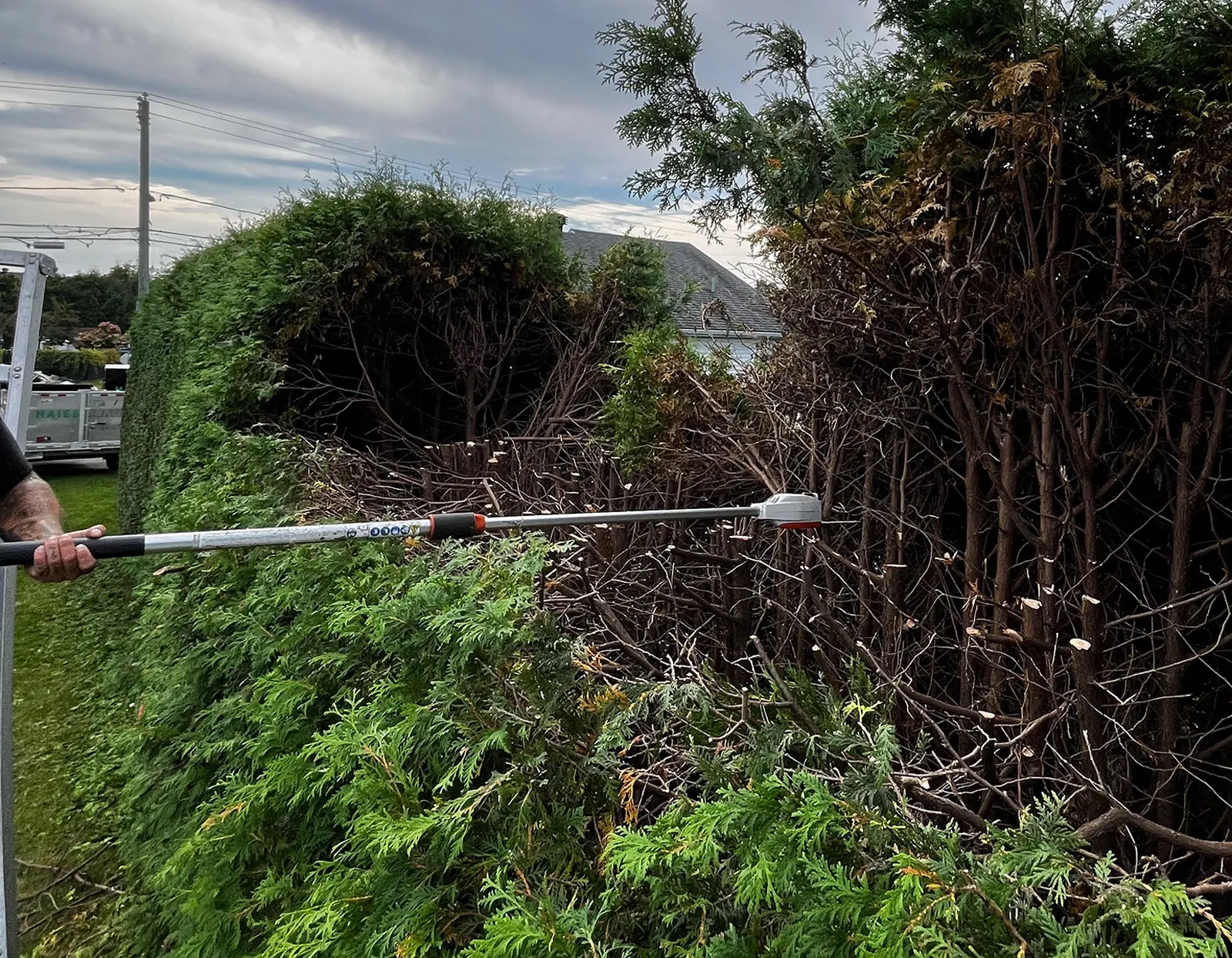 Stump removal Mirabel Saint-Jérôme Blainville