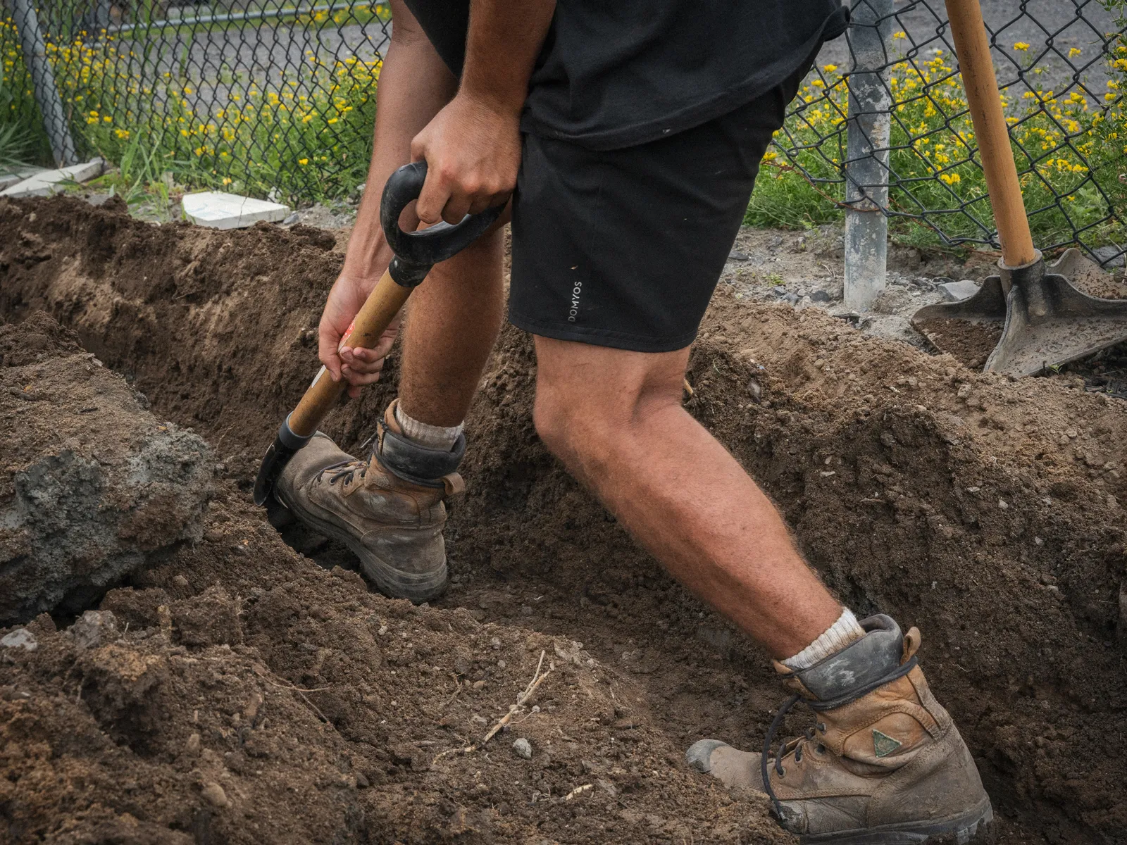 Plantation haie de cèdre Boisbriand