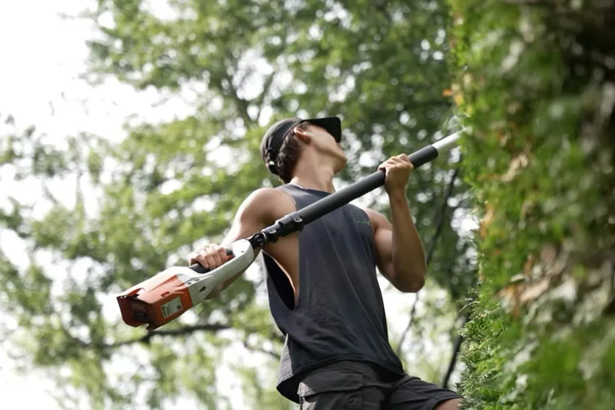 Contact de Haies Design