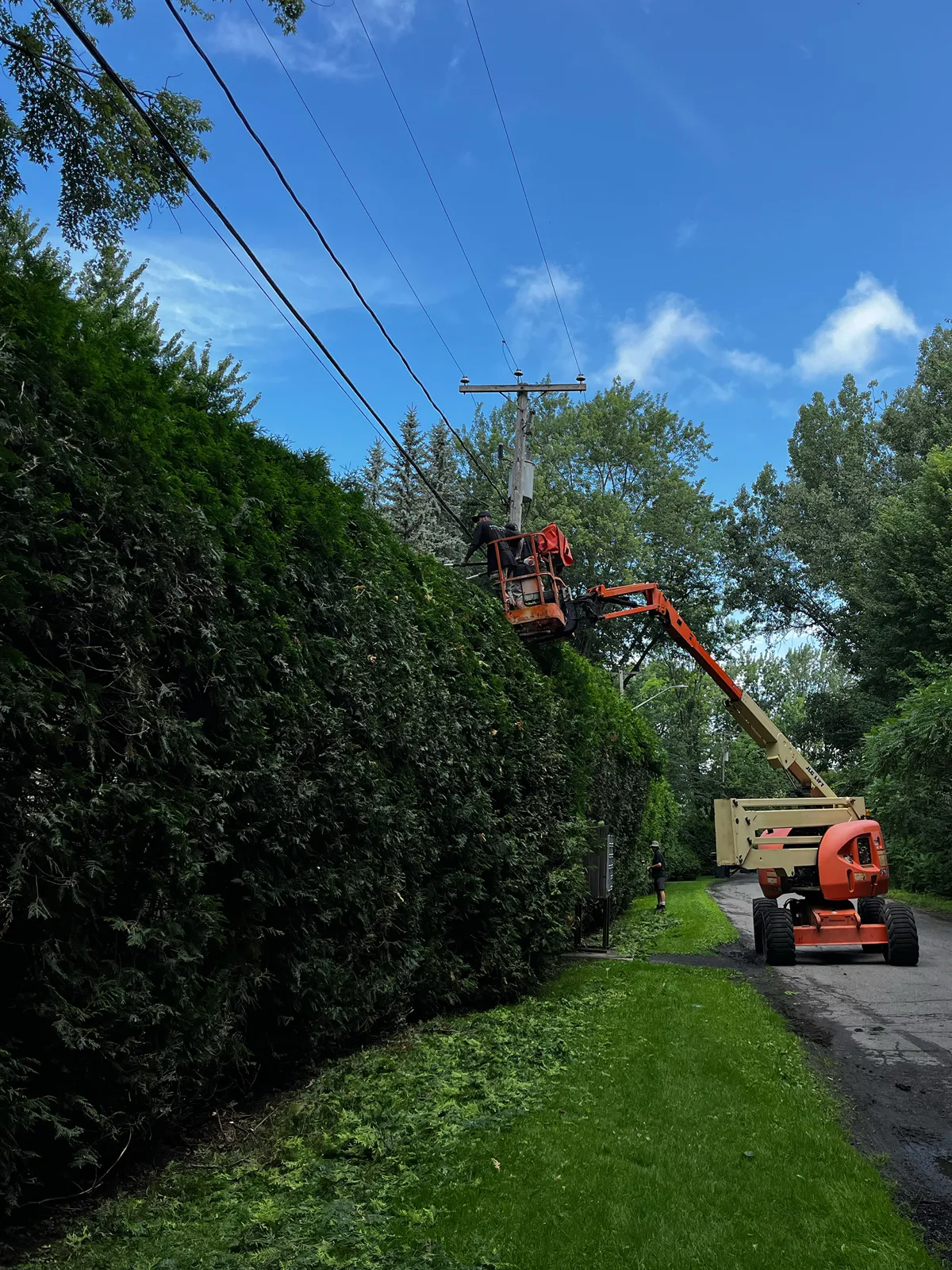 Hedge trimming Mirabel Saint-Jérôme Blainville