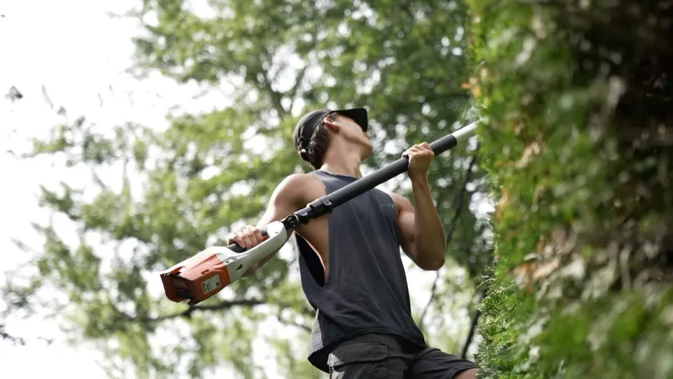 Hedge trimming Mirabel Saint-Jérôme Blainville
