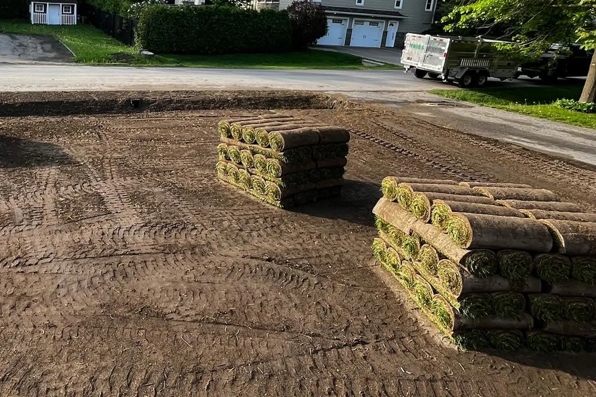 Sod installation Mirabel Saint-Jérôme Blainville